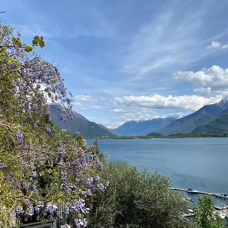 Rustico Dei Vini * 多马索