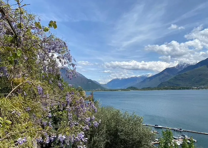 Rustico Dei Vini * Domaso