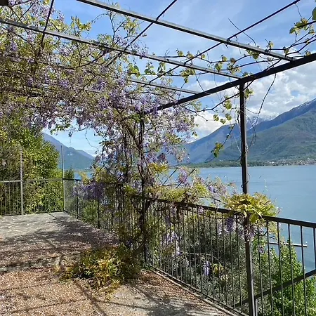 Rustico Dei Vini 도마소